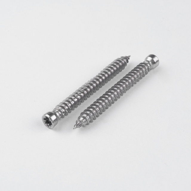 Stainless Steel Screws