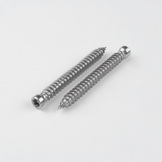 Socket Cheese Head Self Tapping Screw