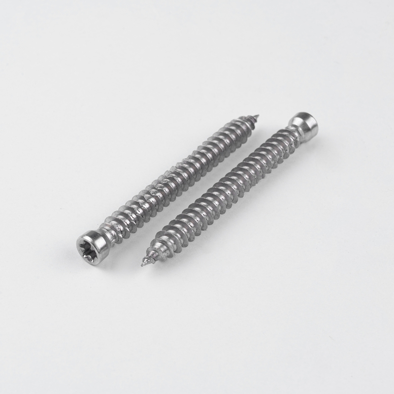 Socket Cheese Head Self Tapping Screw