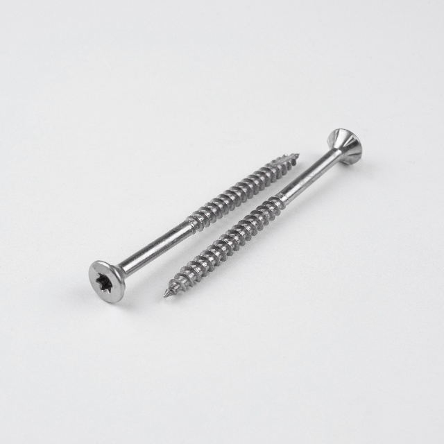 Stainless Steel Screws