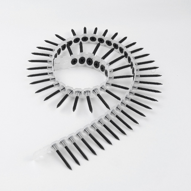 Collated Screws