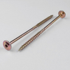 Wood Construction Screw
